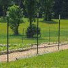 Green Studded T Post 6FT 8FT 10FT Steel Fence Post for Farm