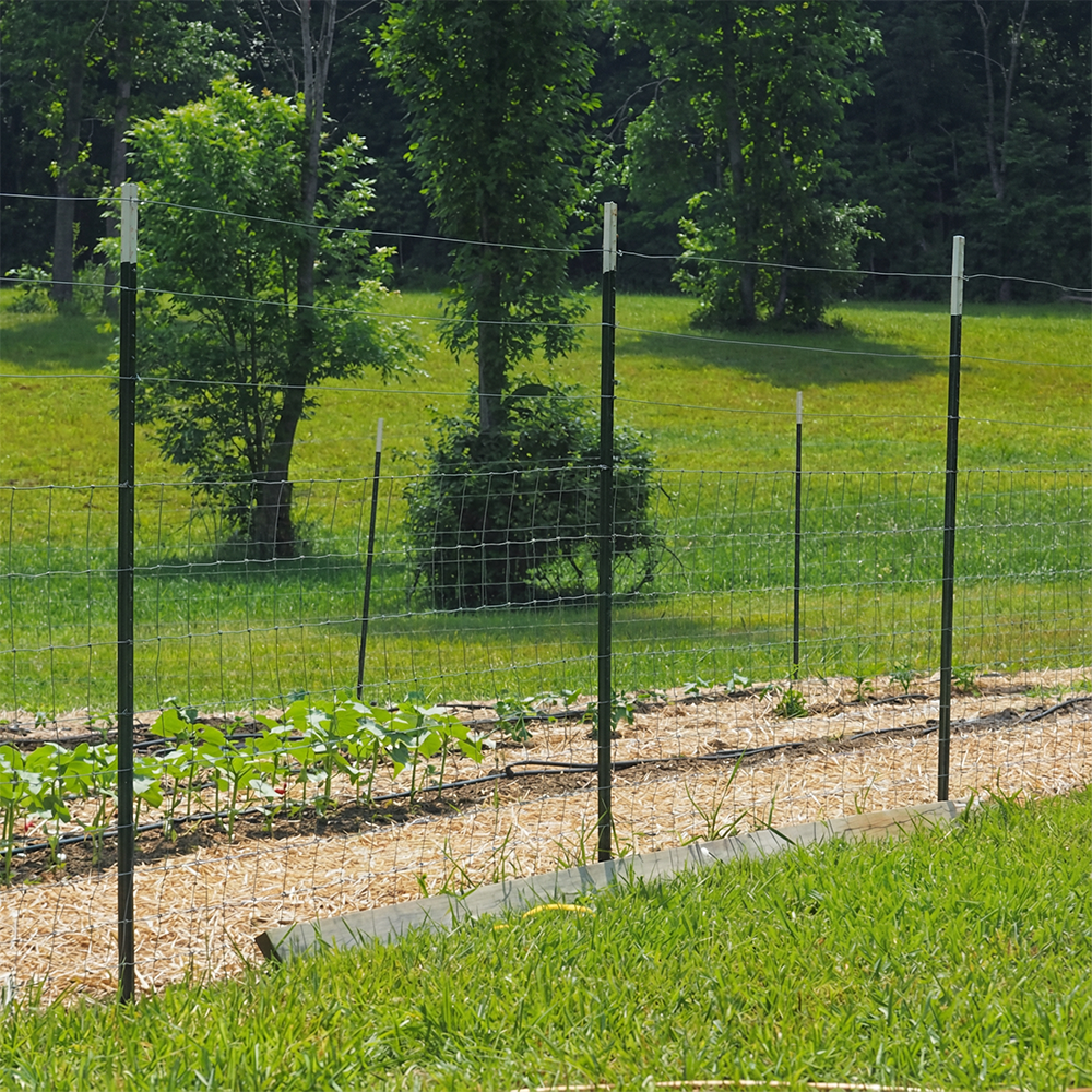 Green Studded T Post 6FT 8FT 10FT Steel Fence Post for Farm