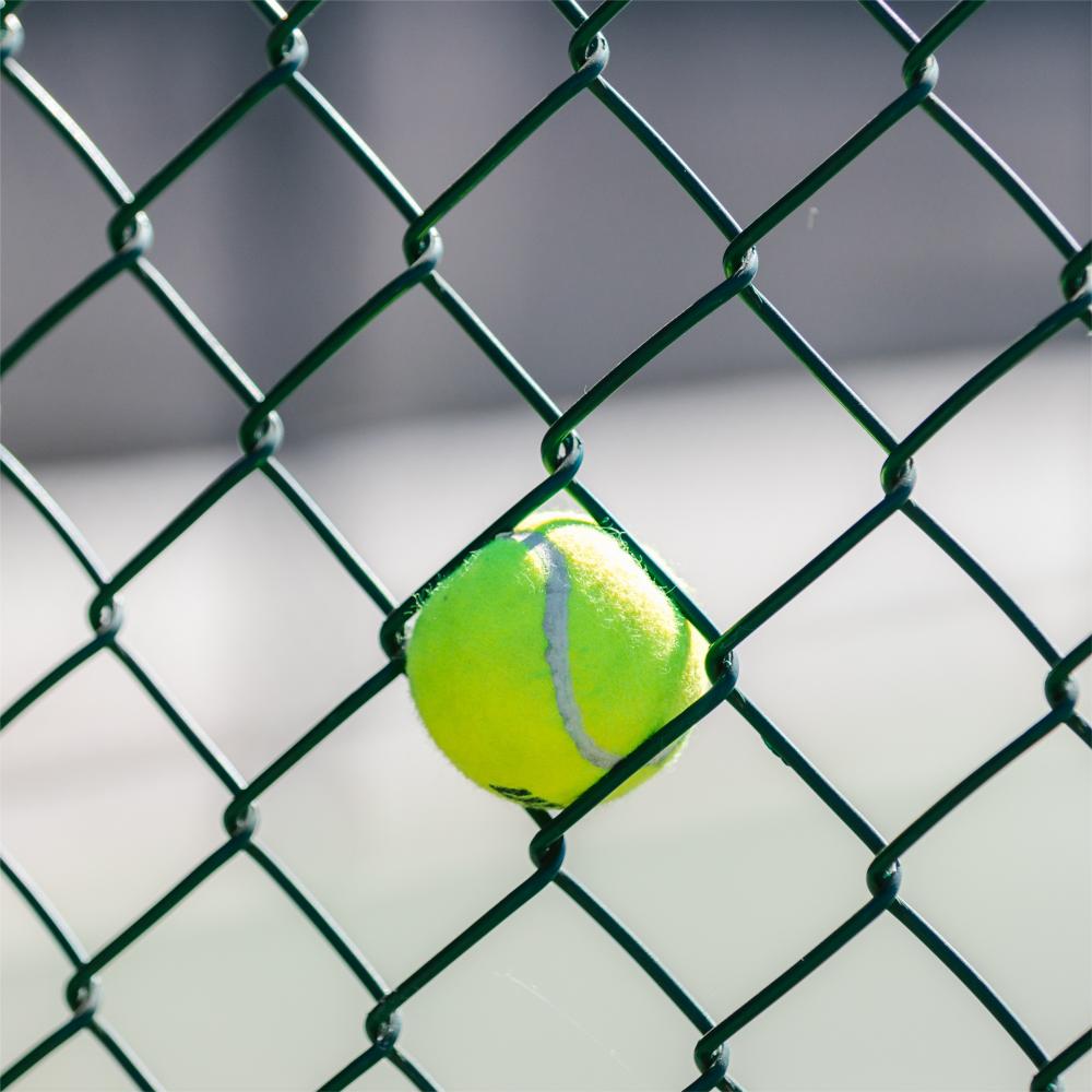 PVC Chain Link Mesh