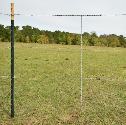 Galvanized 4-Point Security Barbed Wire