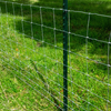Green Studded T Post 6FT 8FT 10FT Steel Fence Post for Farm