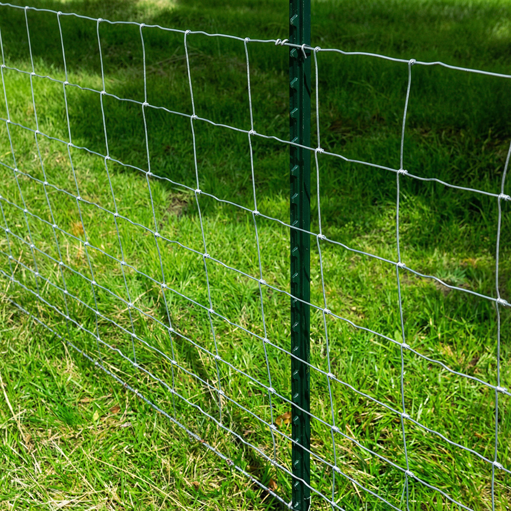 Green Studded T Post 6FT 8FT 10FT Steel Fence Post for Farm