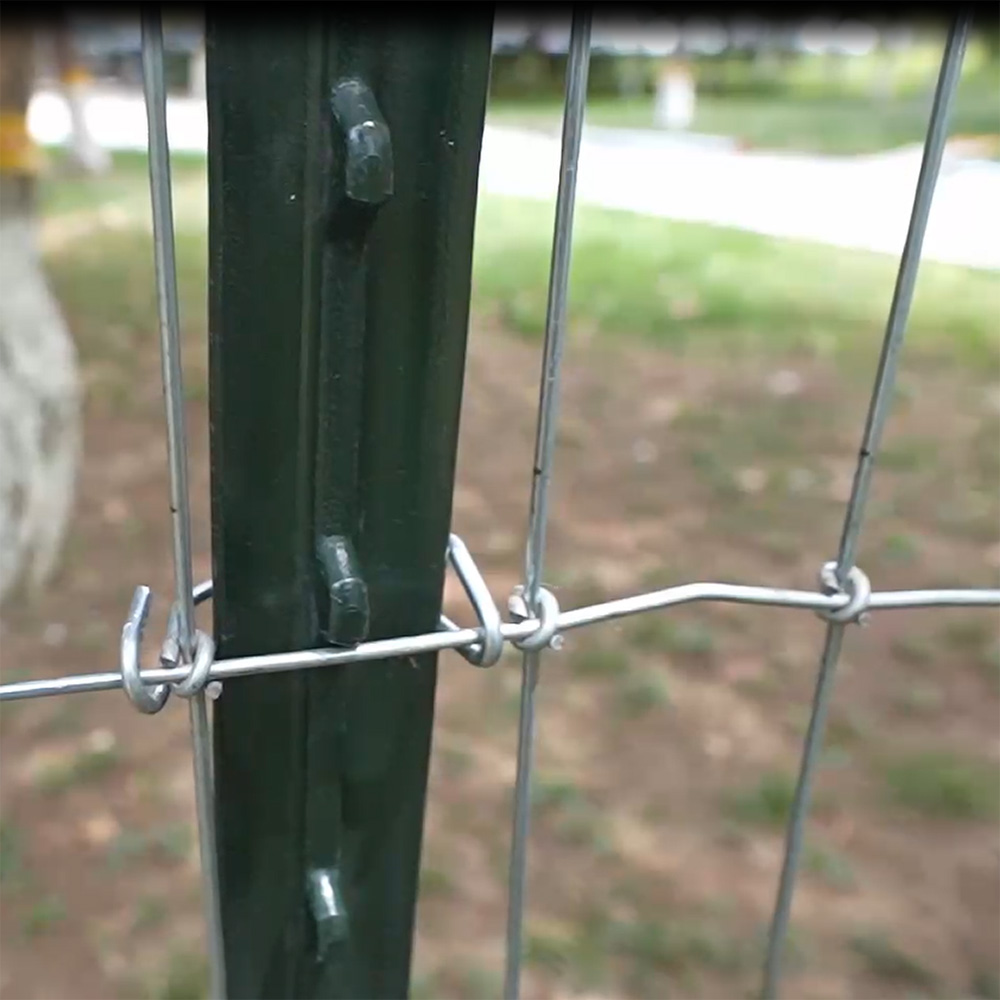 Green Studded T Post 6FT 8FT 10FT Steel Fence Post for Farm