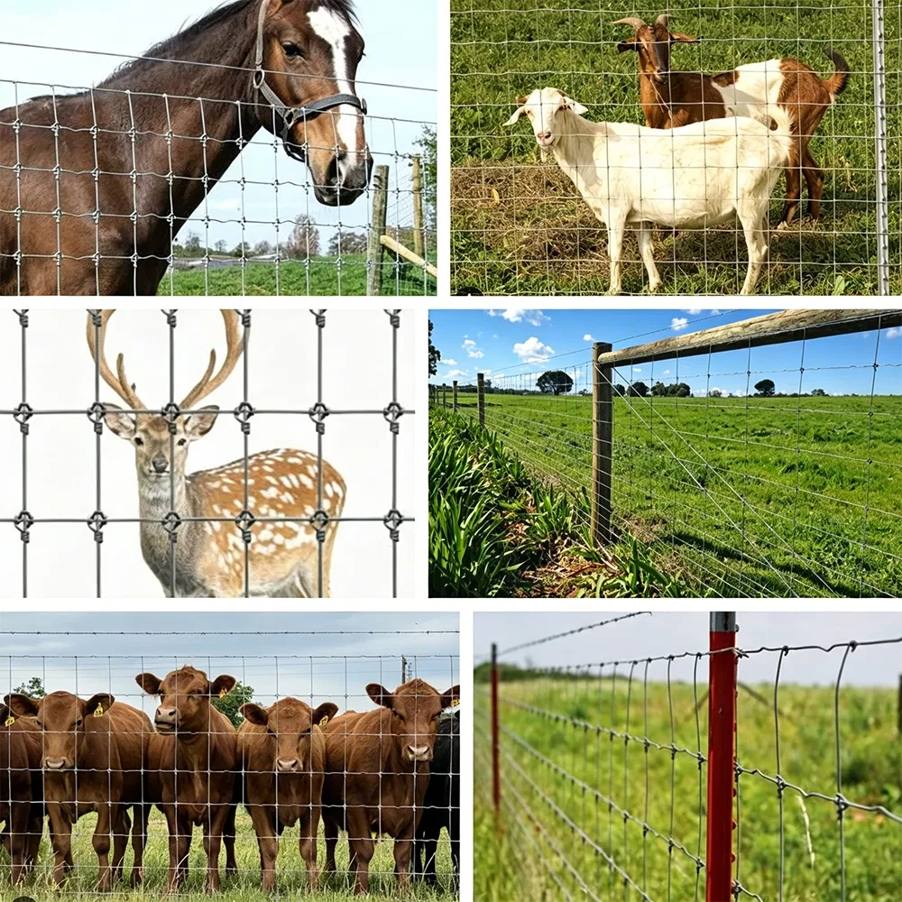 Fixed Knot Fence