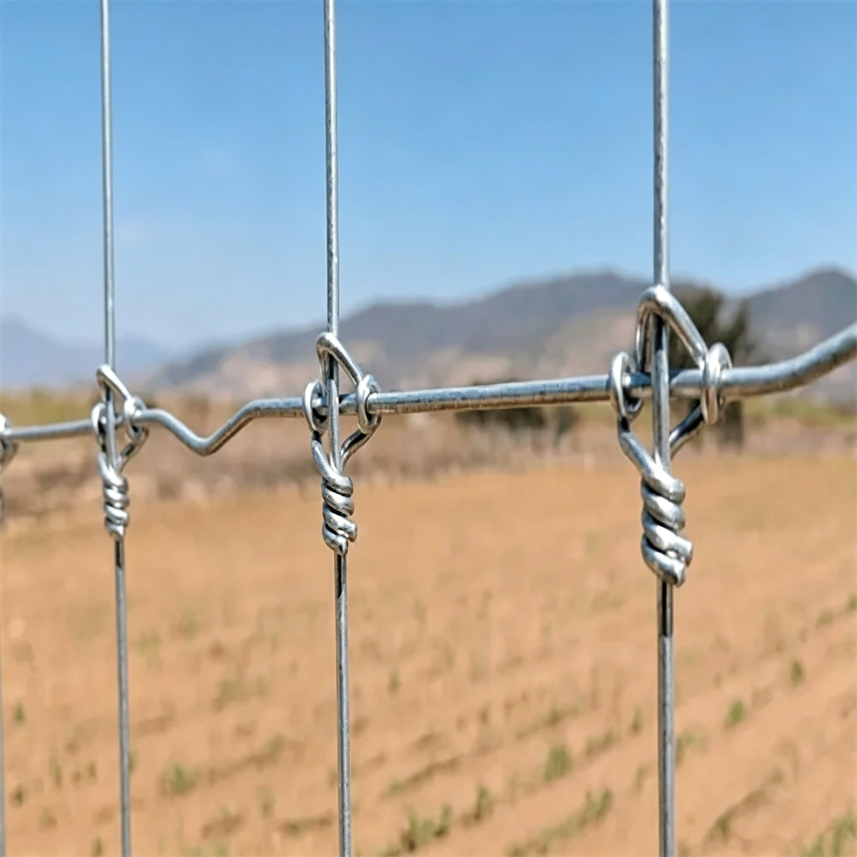 Heavy Duty Fixed Knot Game Field Fence for Deer Livestock Farm Fencing