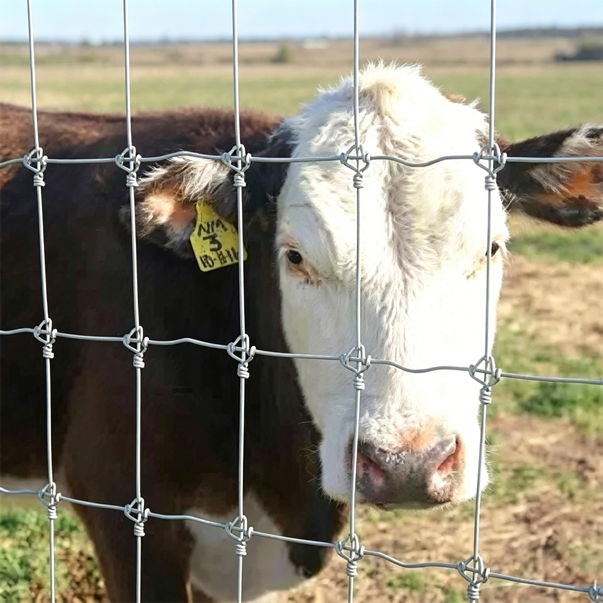 Heavy Duty Fixed Knot Game Field Fence for Deer Livestock Farm Fencing