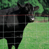 Galvanized Hinge Joint Pasture Field Fence for Livestock Farm Grassland
