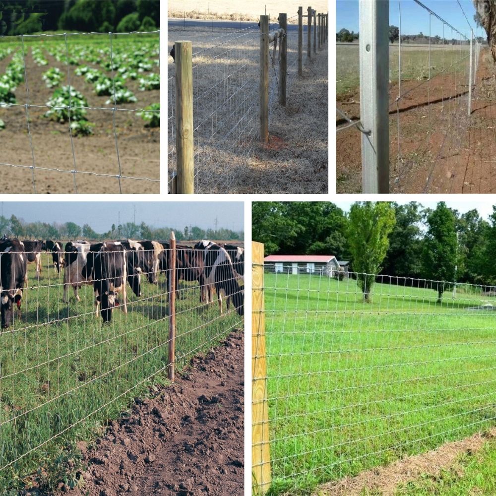 Galvanized Hinge Joint Fence for Livestock Pasture